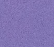 JD-1307 Pure Purple